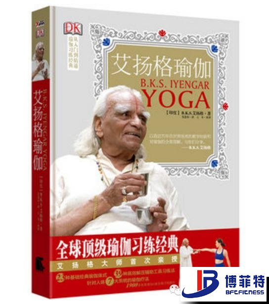 艾揚格瑜伽：精準習練指南