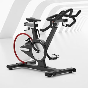 <b>BSE-106專業健身房動感單車</b>