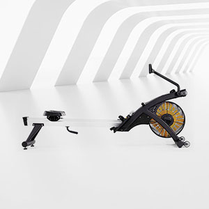 <b>BCE-811風磁雙阻劃船器</b>